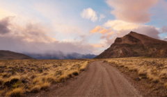 Argentinian steppe