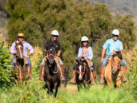 Horseback Riding Matetic