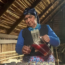 Mapuche Woman