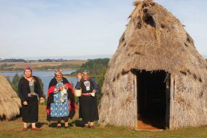 Ruca Mapuche