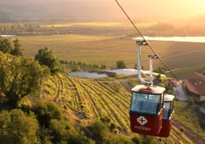 Viña Santa Cruz cable car