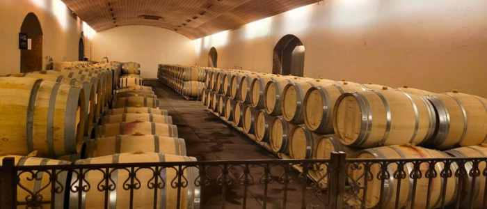 Wine cellar Don Melchor