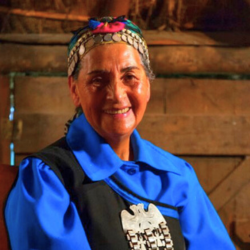 Woman Mapuche